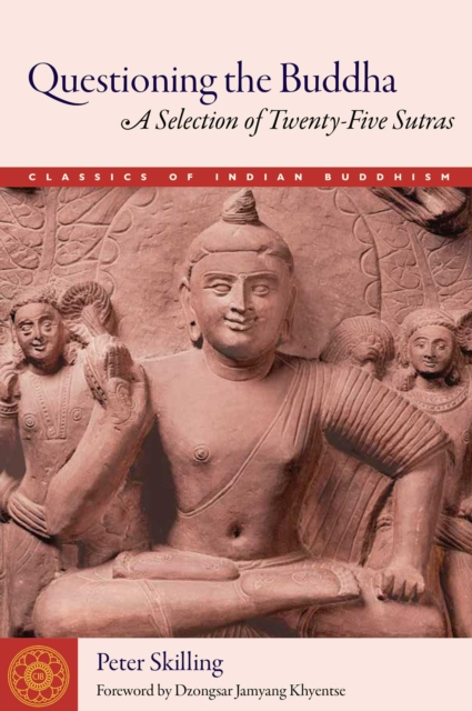 Questioning the Buddha : A Selection of Twenty-Five Sutras, EPUB eBook