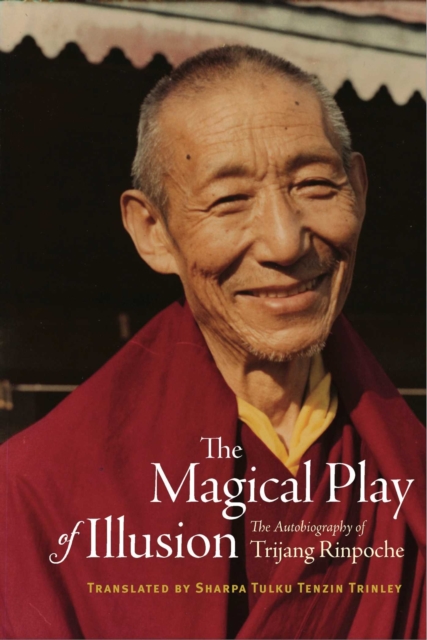 The Magical Play of Illusion, EPUB eBook