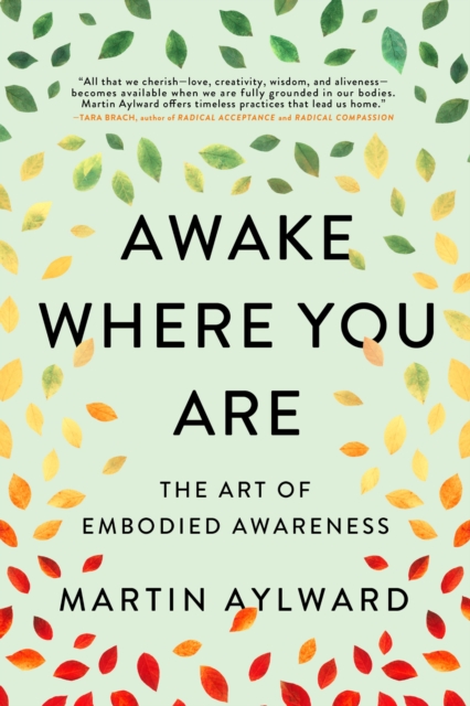 Awake Where You Are : The Art of Embodied Awareness, Paperback / softback Book
