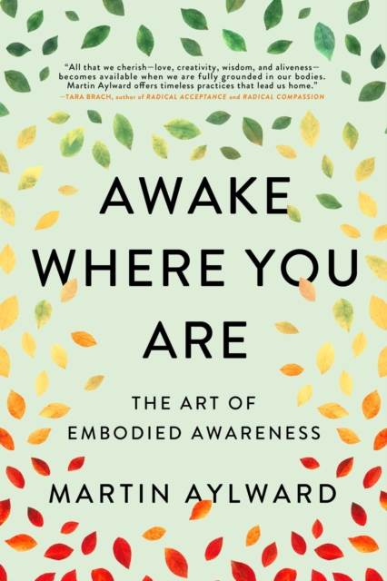 Awake Where You Are : The Art of Embodied Awareness, EPUB eBook