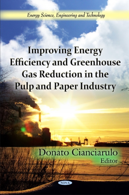 Improving Energy Efficiency & Greenhouse Gas Reduction in the Pulp & Paper Industry, Hardback Book