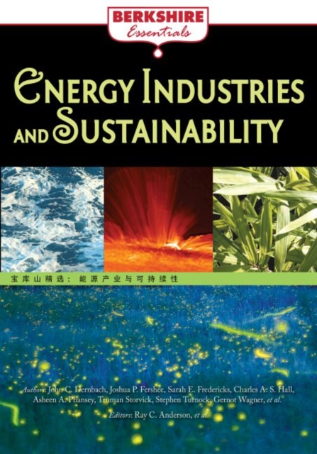 Energy Industries and Sustainability, Paperback / softback Book