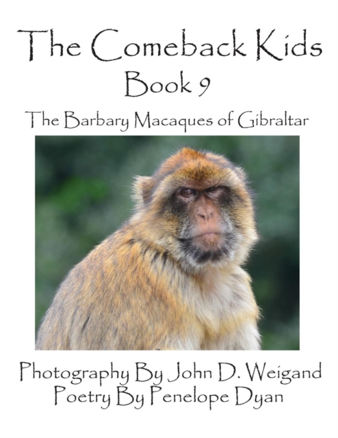 The Comeback Kids -- Book 9 -- The Barbary Macaques of Gibraltar, Paperback / softback Book