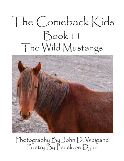 The Comeback Kids--Book 11--The Wild Mustangs, Paperback / softback Book