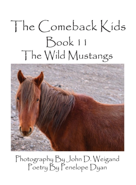 The Comeback Kids--Book 11--The Wild Mustangs, Hardback Book