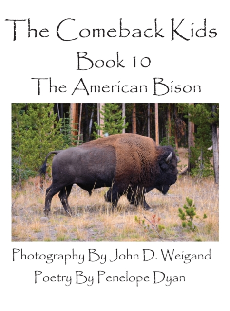 The Comeback Kids--Book 10--The American Bison, Hardback Book