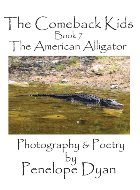 The Comeback Kids, Book 7, the American Alligator, Hardback Book