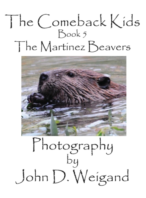 The Comeback Kids, Book 5, the Martinez Beavers, Hardback Book