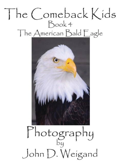 The Comeback Kids, Book 4, the American Bald Eagle, Hardback Book