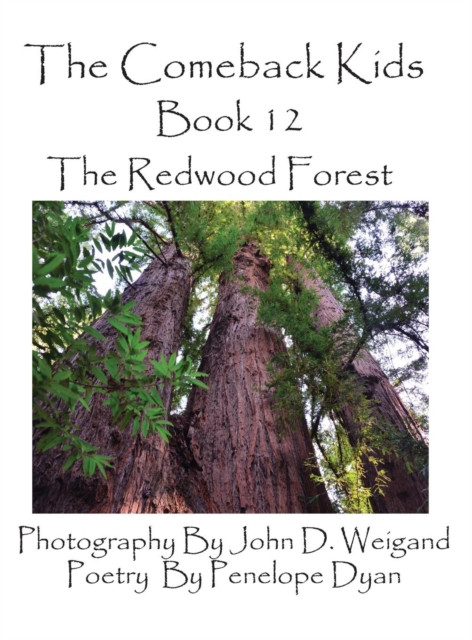 The Comeback Kids, Book 12, the Redwood Forest, Hardback Book