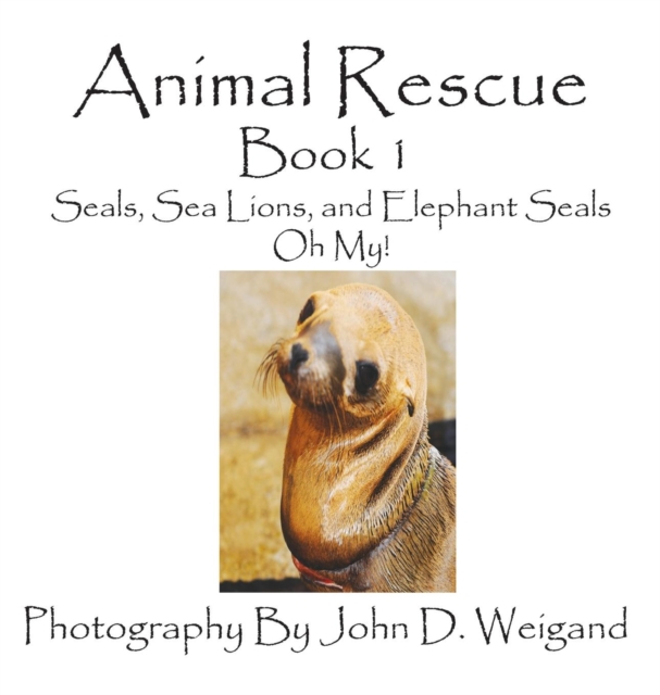 Animal Rescue, Book 1, Seals, Sea Lions and Elephant Seals, Oh My!, Hardback Book
