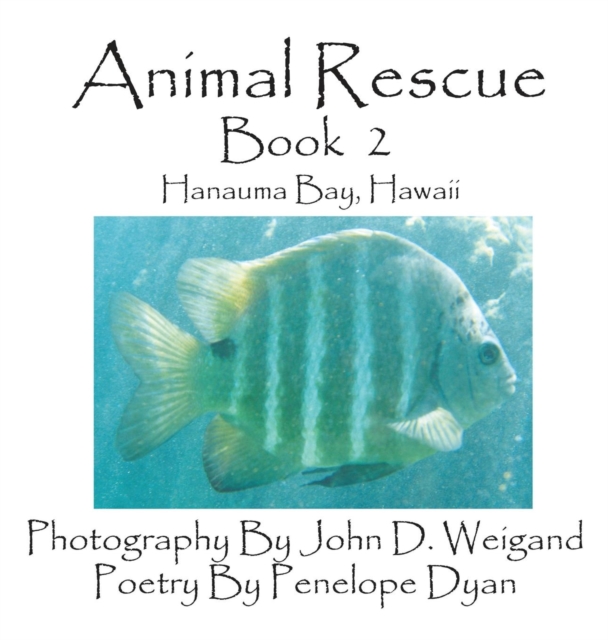 Animal Rescue, Book 2, Hanauma Bay, Hawaii, Hardback Book