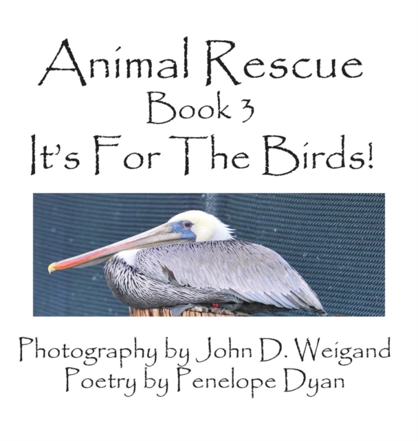 Animal Rescue, Book 3, It's for the Birds!, Hardback Book