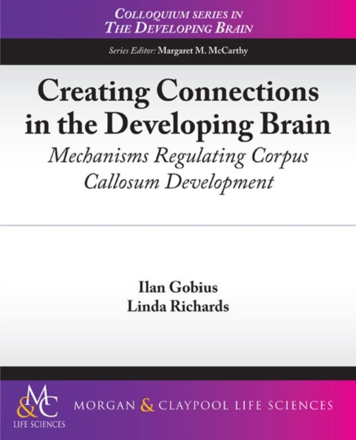Creating Connections in the Developing Brain : Mechanisms Regulating Corpus Callosum Development, Paperback / softback Book