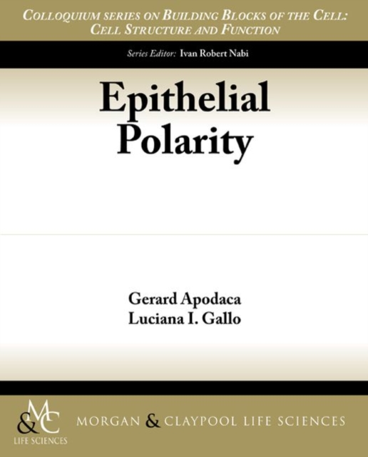 Epithelial Polarity, Paperback / softback Book
