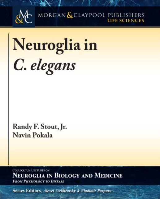 Neuroglia in C. elegans, Paperback / softback Book