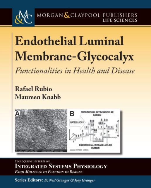 Endothelial Luminal Membrane-Glycocalyx : Functionalities in Health and Disease, Paperback / softback Book