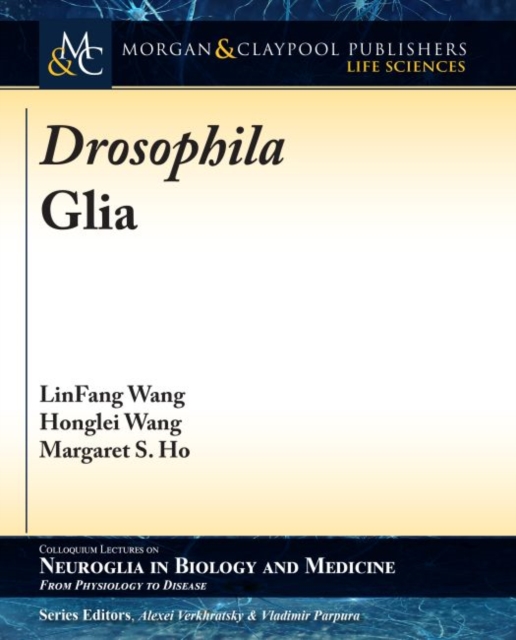 Drosophila Glia, Hardback Book