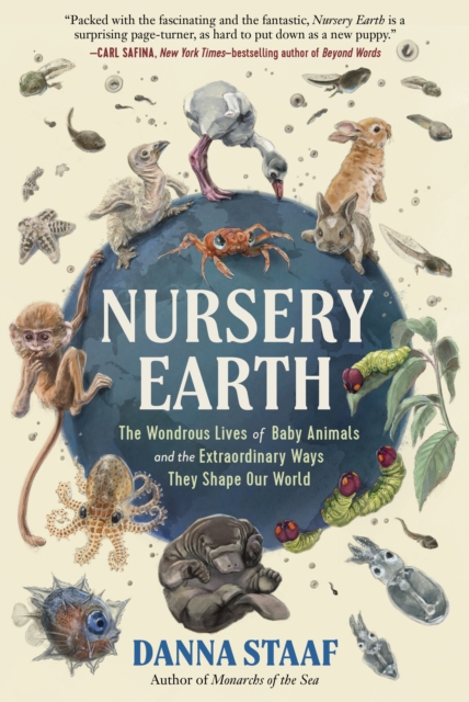 Nursery Earth : The Wondrous Lives of Baby Animals and the Extraordinary Ways They Shape Our World, Hardback Book