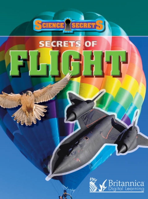 Secrets of Flight, PDF eBook