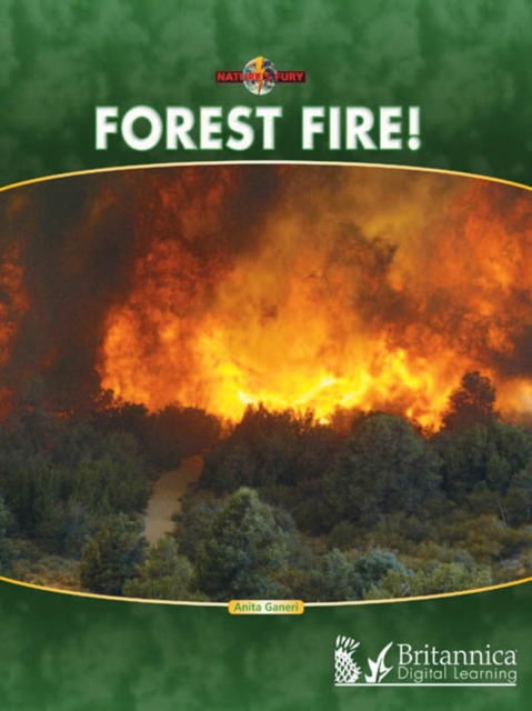 Forest Fire!, PDF eBook