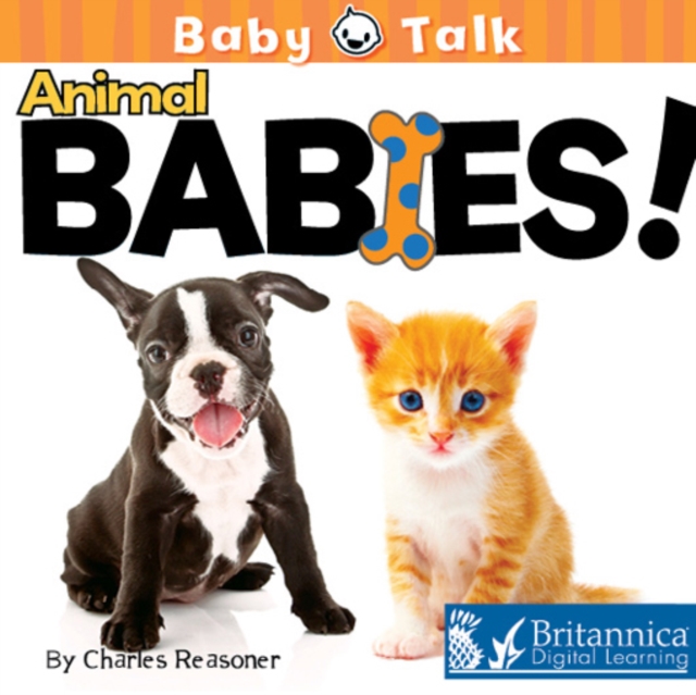 Animal Babies!, PDF eBook