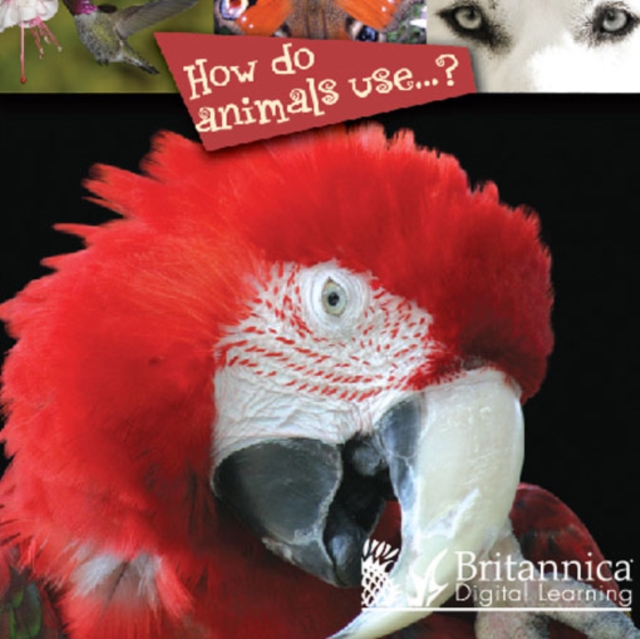 How Do Animals Use...?, PDF eBook