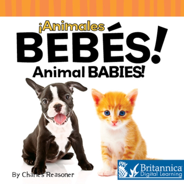 Animales bebes (Animal Babies), PDF eBook