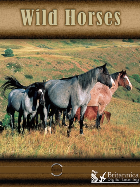 Wild Horses, PDF eBook