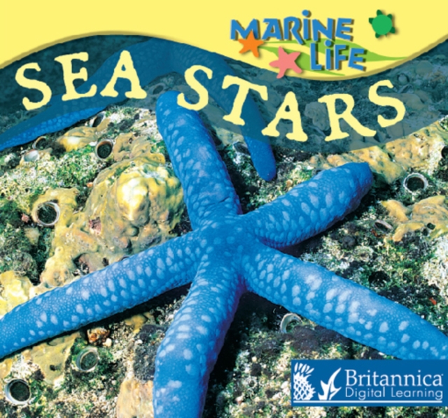 Sea Stars, PDF eBook