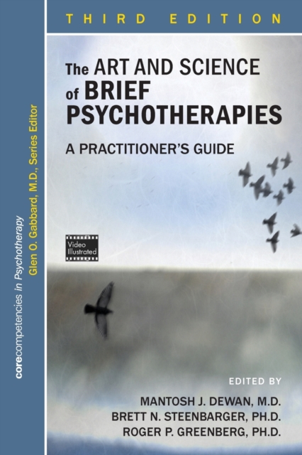 The Art and Science of Brief Psychotherapies : A Practitioner's Guide, Paperback / softback Book