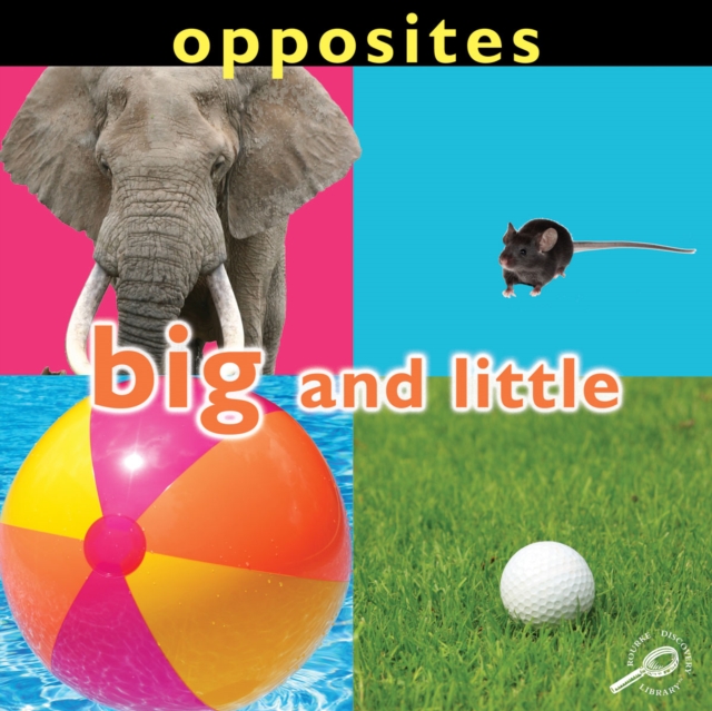 Opposites: Big and Little, PDF eBook