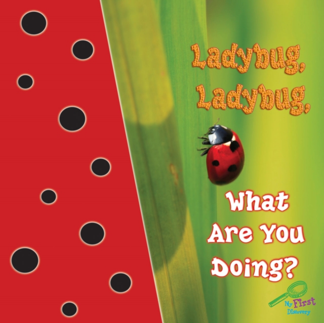 Ladybug, Ladybug, What Are You Doing?, PDF eBook