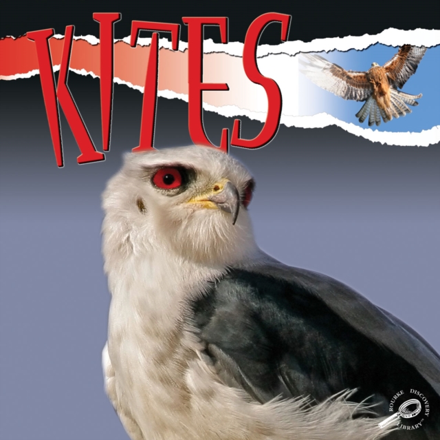 Kites, PDF eBook