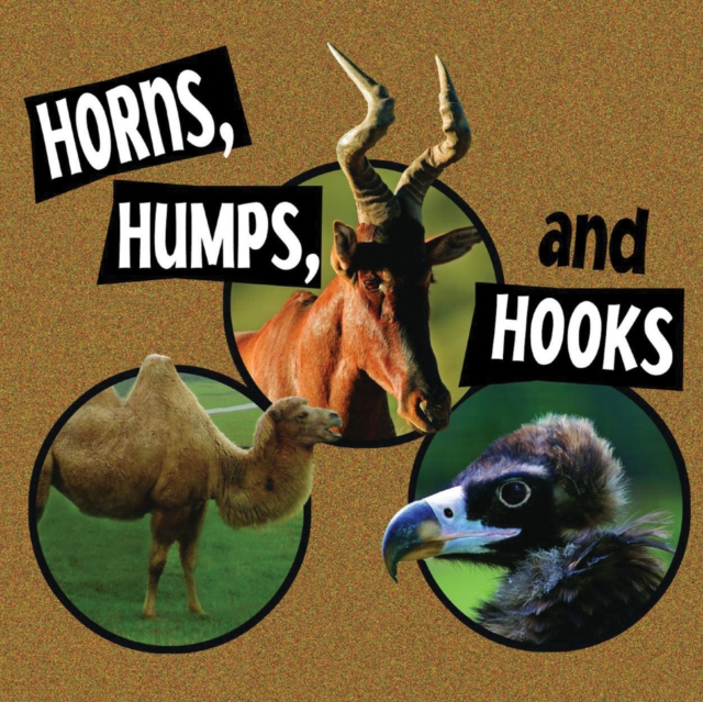 Horns, Humps, and Hooks, PDF eBook