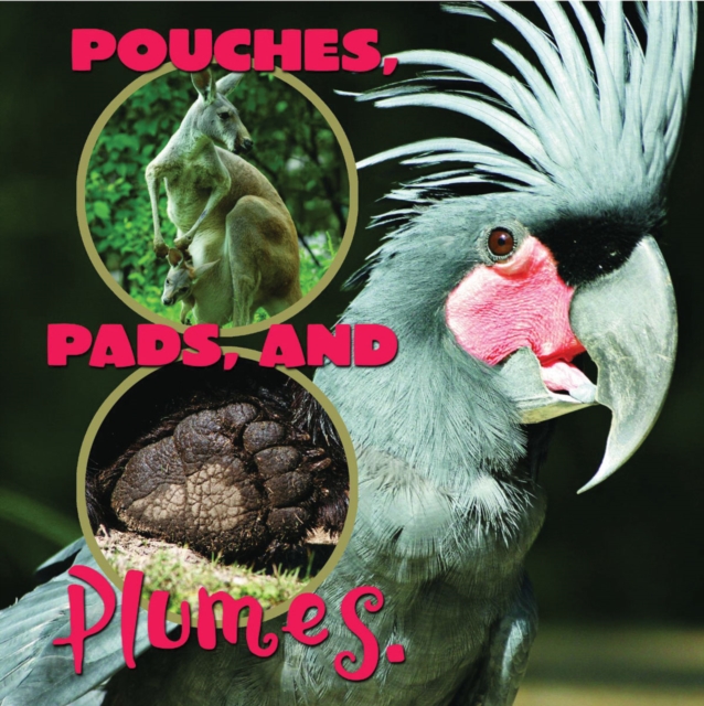 Pouches, Pads, and Plumes, PDF eBook
