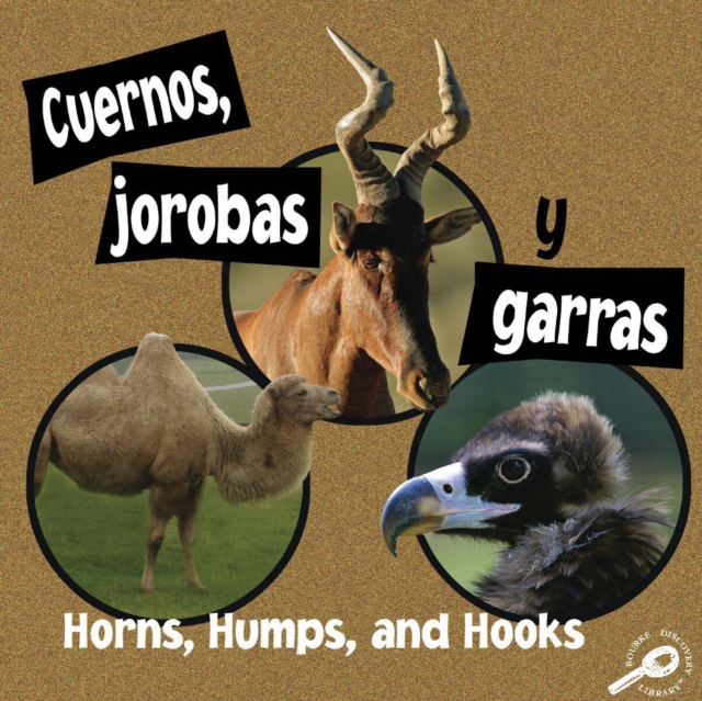 Cuernos, jorobas y garras : Horns, Humps, and Hooks, PDF eBook