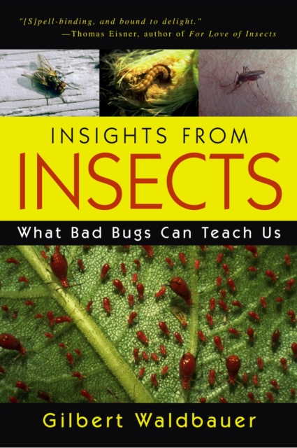 Insights From Insects : What Bad Bugs Can Teach Us, EPUB eBook