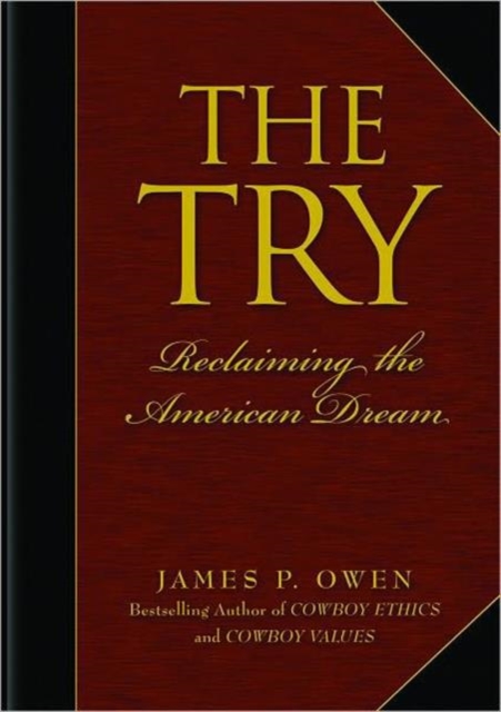 The Try : Reclaiming the American Dream, Paperback / softback Book