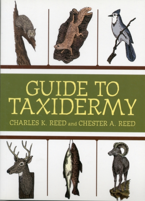 Guide to Taxidermy, Paperback / softback Book