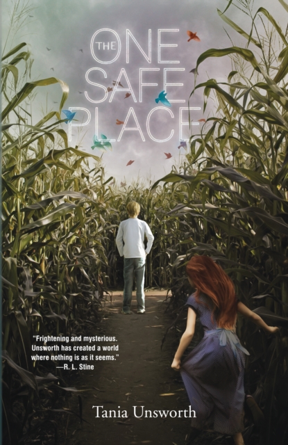 The One Safe Place, Paperback Book