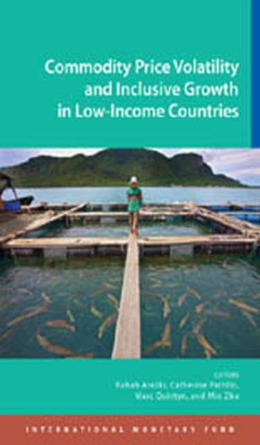 Commodity price volatility and inclusive growth in low-income countries, Paperback / softback Book