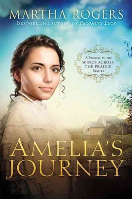 Amelia's Journey, Paperback / softback Book