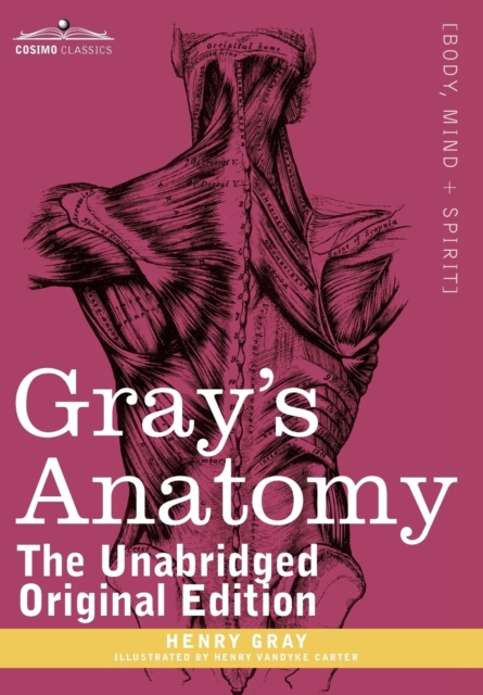 Gray's Anatomy : Descriptive and Surgical, Hardback Book
