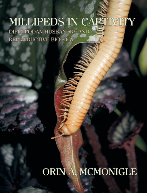 Millipeds in Captivity : Diplopodan Husbandry and Reproductive Biology (Millipede Husbandry), Hardback Book