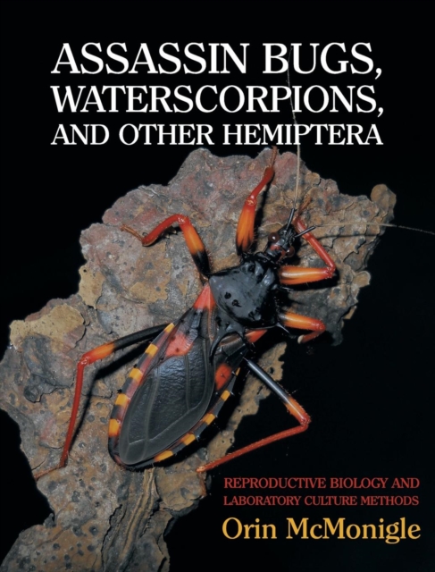 Assassin Bugs, Waterscorpions, and Other Hemiptera : Reproductive Biology and Laboratory Culture Methods, Hardback Book