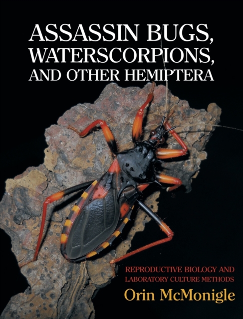 Assassin Bugs, Waterscorpions, and Other Hemiptera : Reproductive Biology and Laboratory Culture Methods, Hardback Book