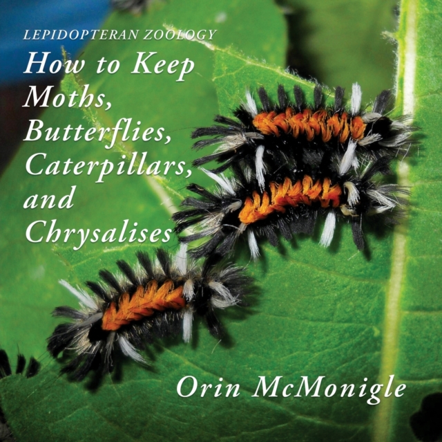 Lepidopteran Zoology : How to Keep Moths, Butterflies, Caterpillars, and Chrysalises, Paperback / softback Book