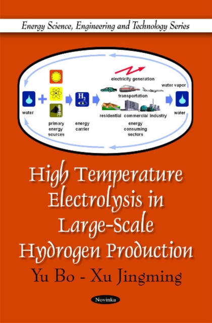 High Temperature Electrolysis in Large-Scale Hydrogen Production, Paperback / softback Book