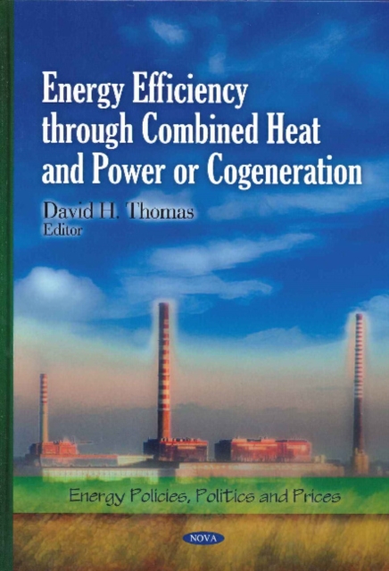 Energy Efficiency Through Combined Heat & Power or Cogeneration, Hardback Book